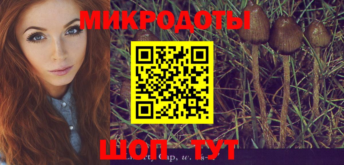 Галлюциногенные грибы Psilocybe Рузаевка